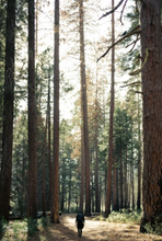 Lade das Bild in den Galerie-Viewer, Mindfulness- et dypdykk i deg selv. Bestill kurs på Mindandbody.no